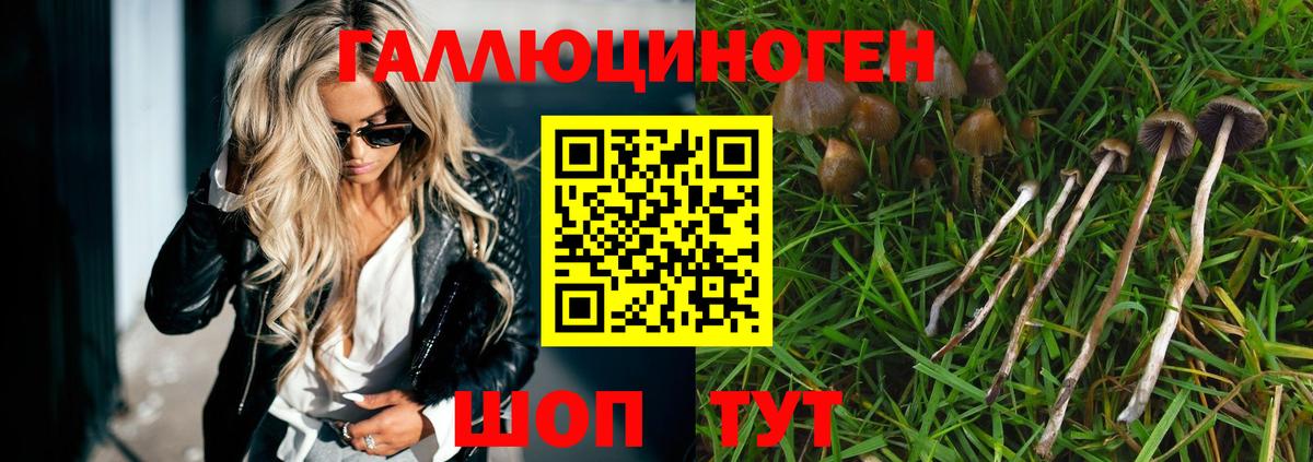 где продают наркотики  Вход с VPN  Междуреченск  Галлюциногенные грибы прущие грибы 